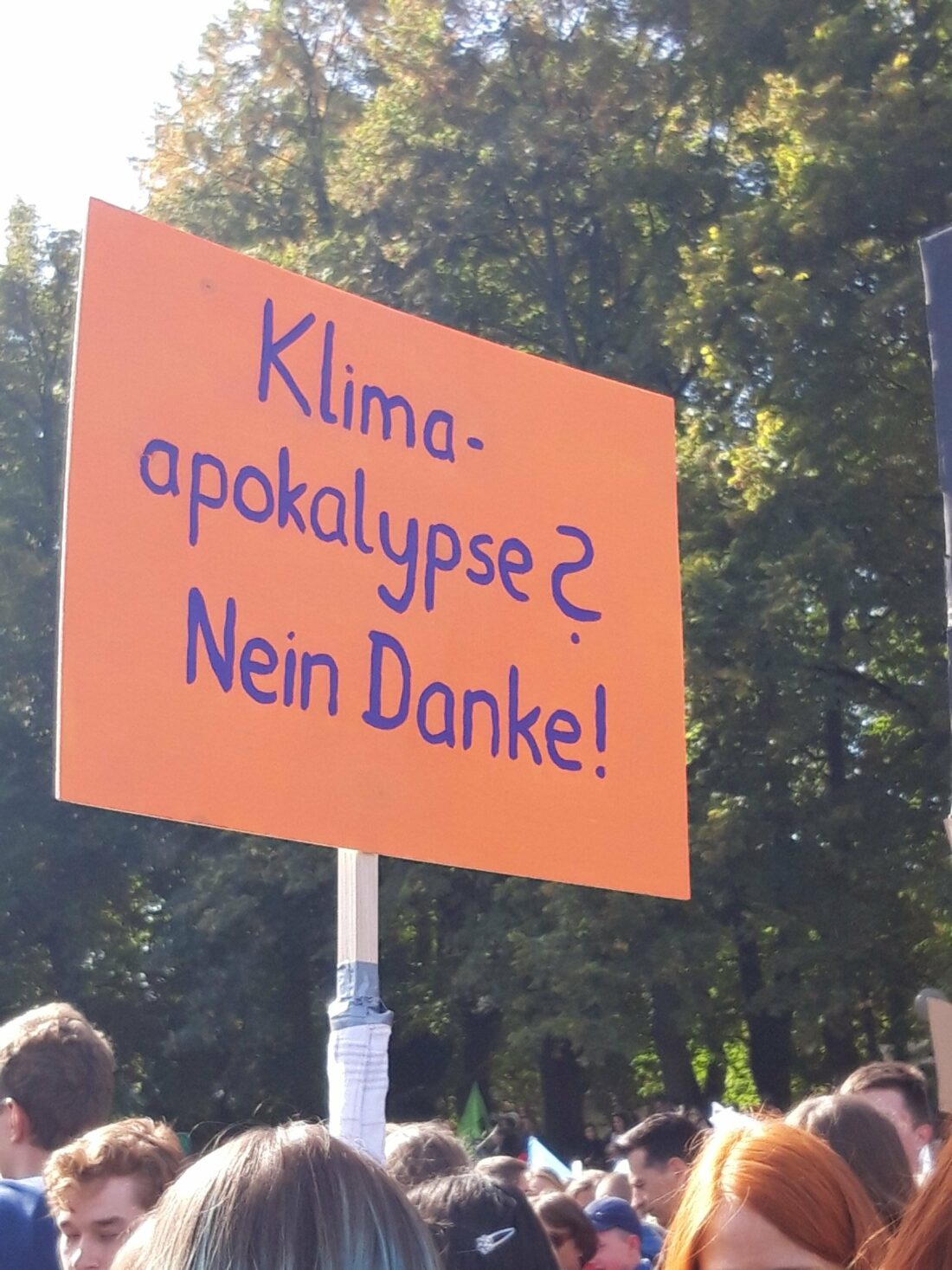 Plakat beim Klimastreik Bonn